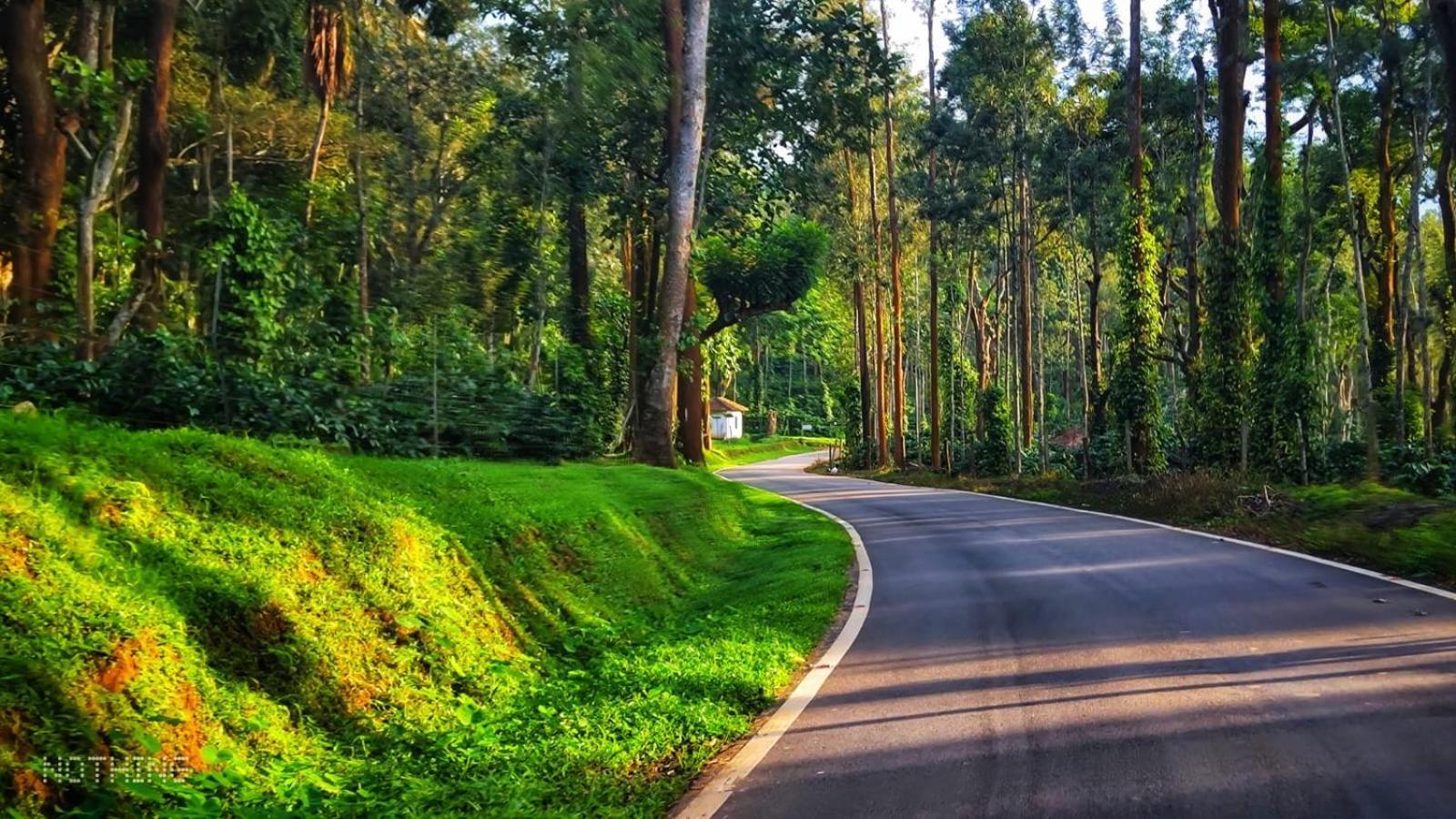 Coorg Divine Spark Home Stay Suntikoppa Εξωτερικό φωτογραφία