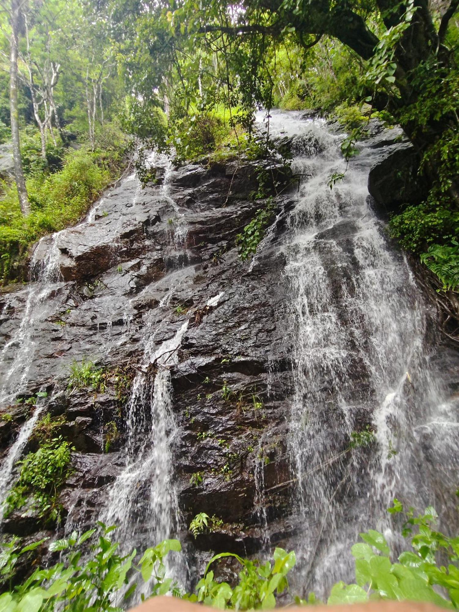 Coorg Divine Spark Home Stay Suntikoppa Εξωτερικό φωτογραφία